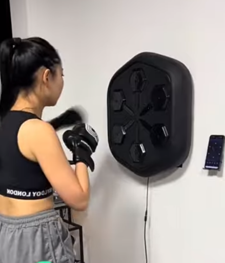 wall mounted boxing workout