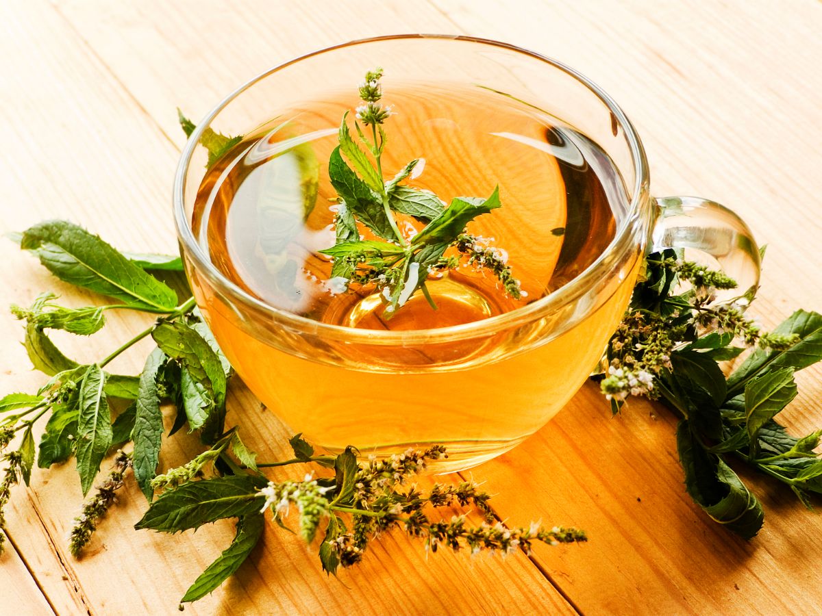 best herbal tea for constipation